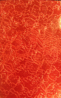u2012a.jpg